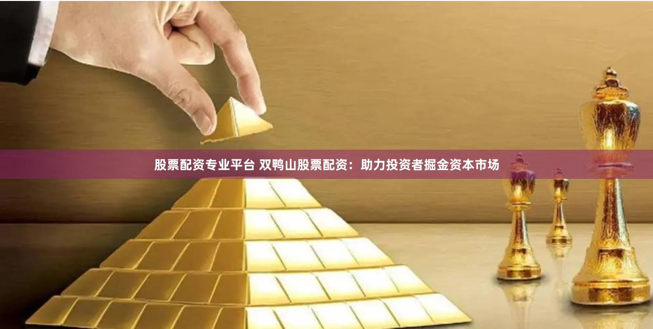 股票配资专业平台 双鸭山股票配资：助力投资者掘金资本市场